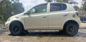 Toyota Vitz 2004 Ivory