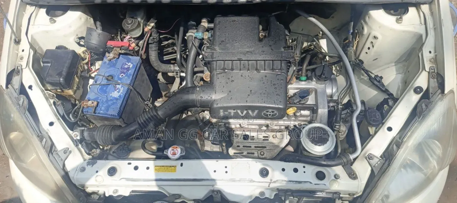 Toyota Vitz 2004 Ivory