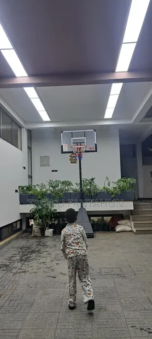 Basketball Stand