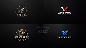 Proffestional Level Logo Designer