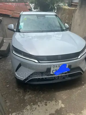 Car Rental