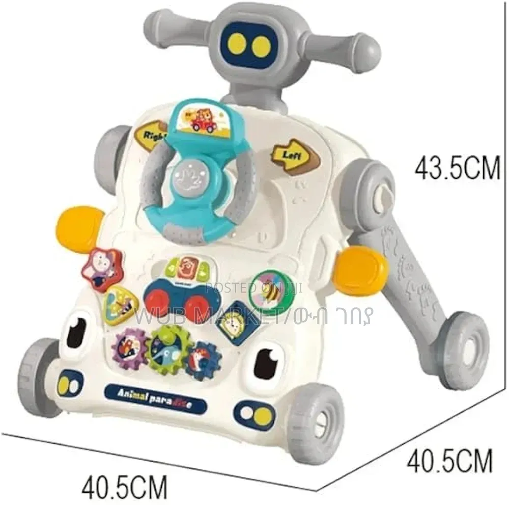 3 in 1 Activity Walker