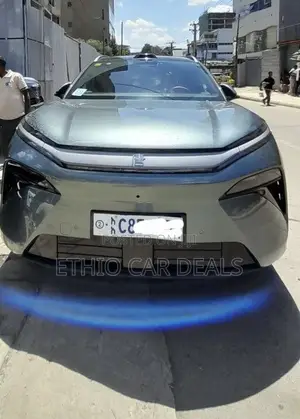 BYD Tang DM-i 2025 Green