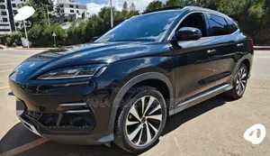 BYD Song Plus 2024 Gray