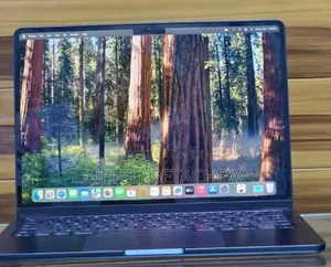 New Apple MacBook Air 2025 M4 13-inch 16GB Apple M4 Pro SSD 256GB