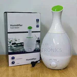 Humidifier With a Timer and Decorative Lighting Functionality.
