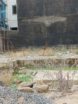 የሚሸጥ መሠረት ባስቸኳይ ሀያት ዲያስፖራ