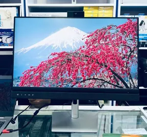 Video Conferencing Monitor