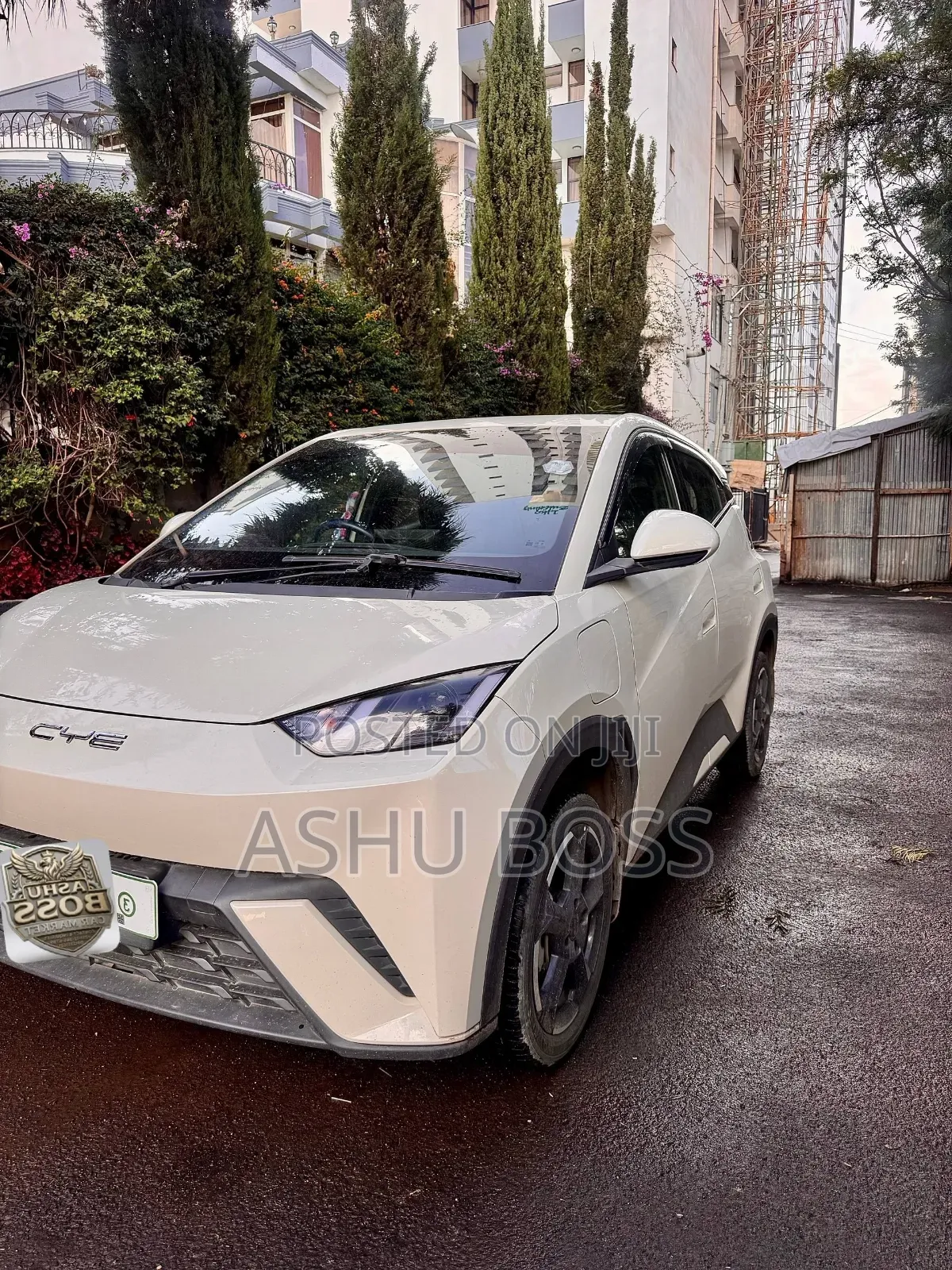 New BYD Seagull 2023 White