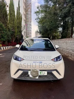 New BYD Seagull 2023 White