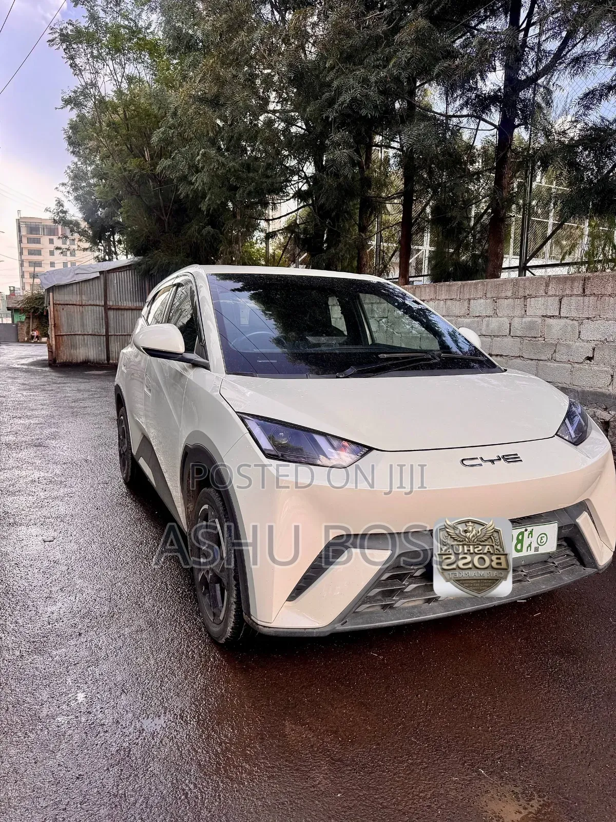 New BYD Seagull 2023 White