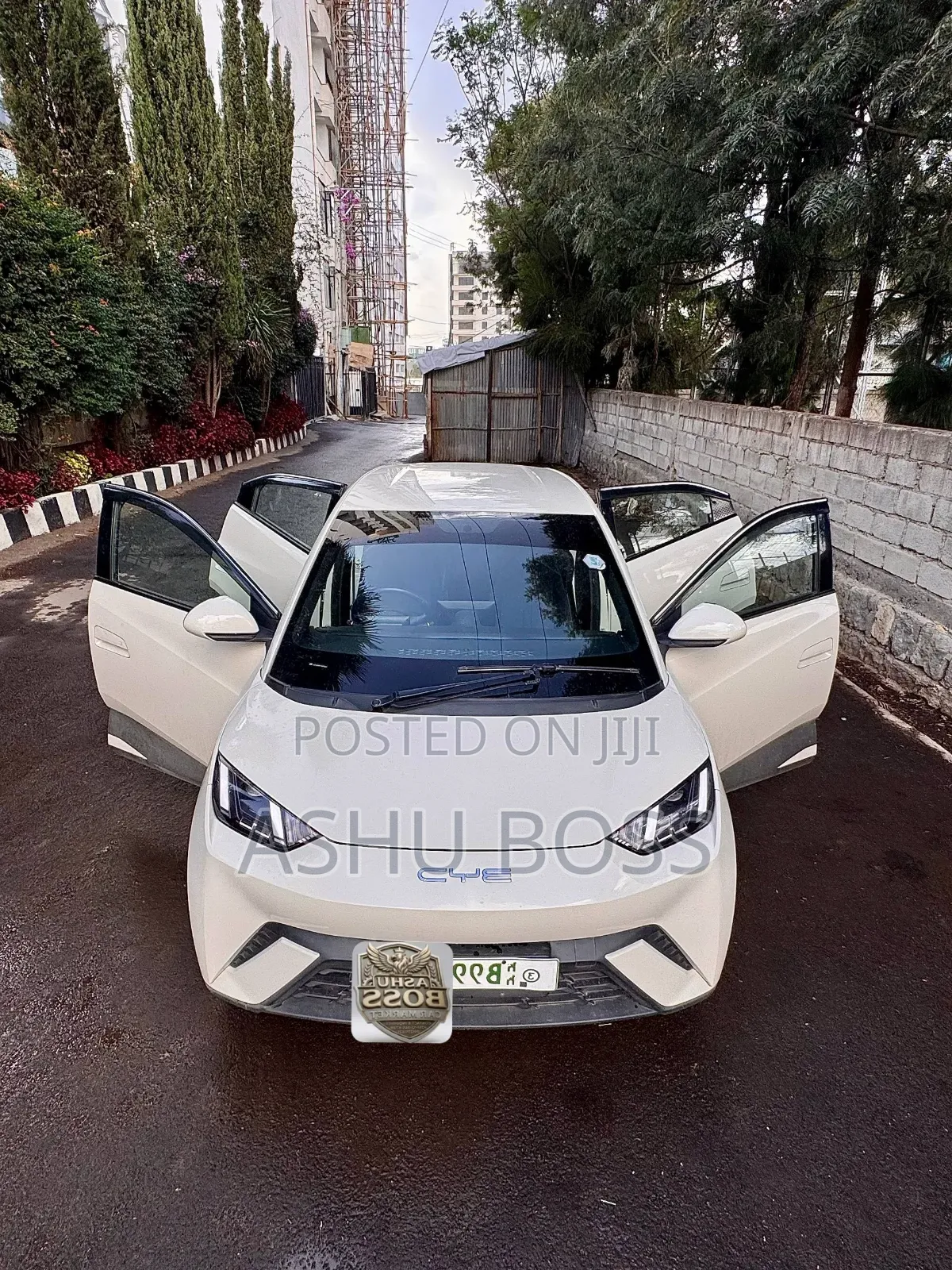 New BYD Seagull 2023 White