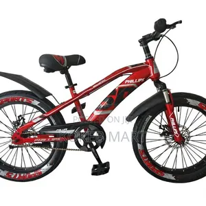Phillips Bike 20 Inch