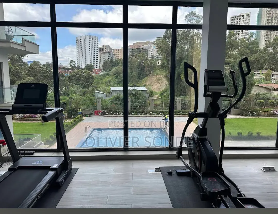 Furnished 1bdrm Apartment in Grand View Luxury, Bole for rent