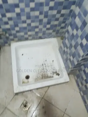 Toilet/Bathroom Cleaning