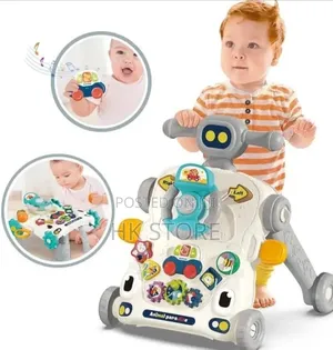 3 in 1 Activity Walker