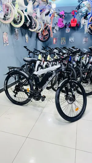 Electric Bike
