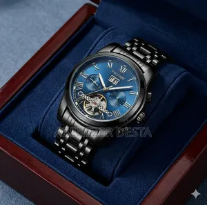 Tevise 9005d Automatic Mechanical Skeleton Wristwatch,