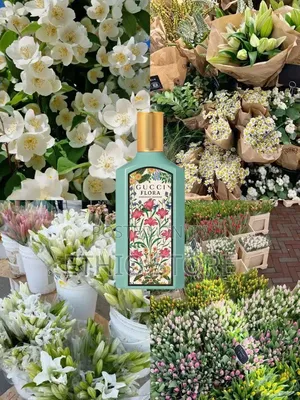 Gucci Flora