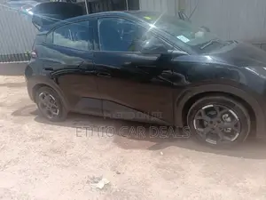 BYD Seagull 2025 Black