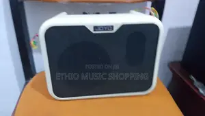 Bass Amplifier