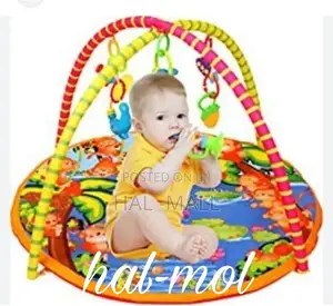 Colourfully Play Gym