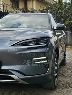 BYD Song Plus 2024 Gray