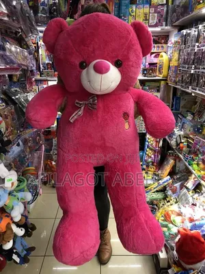 Teddy Bear Dolls in Different Colors and Sizes