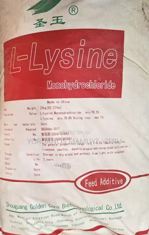 Lysine Aminoacid
