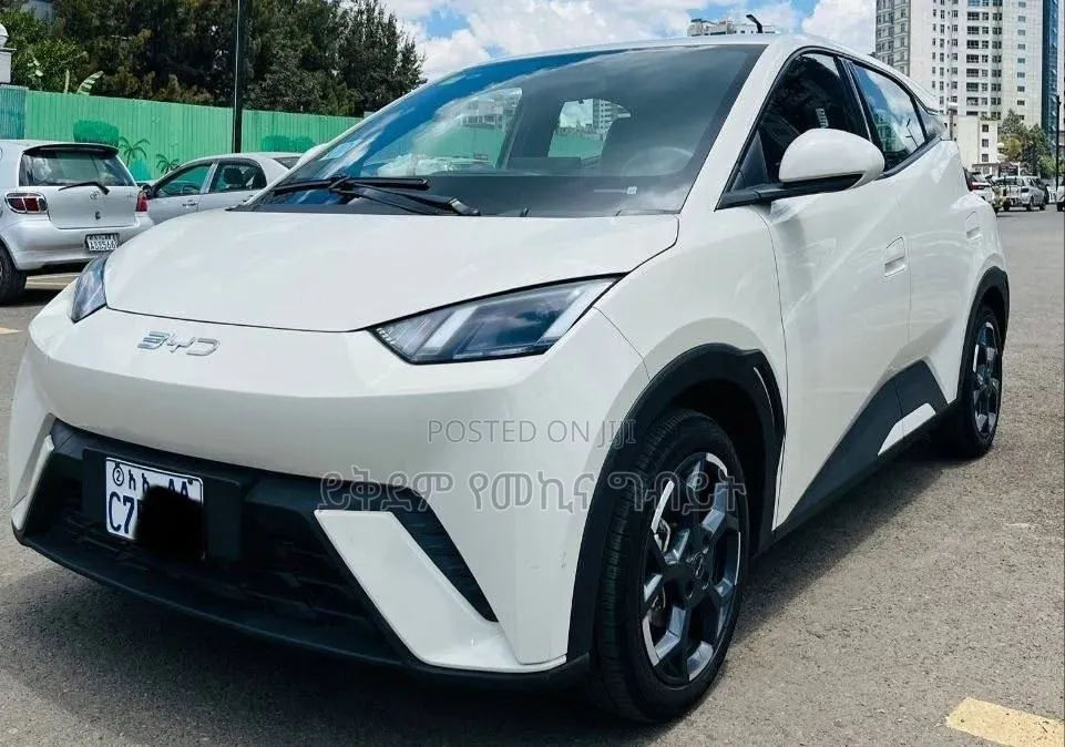 BYD Seagull 2025 White