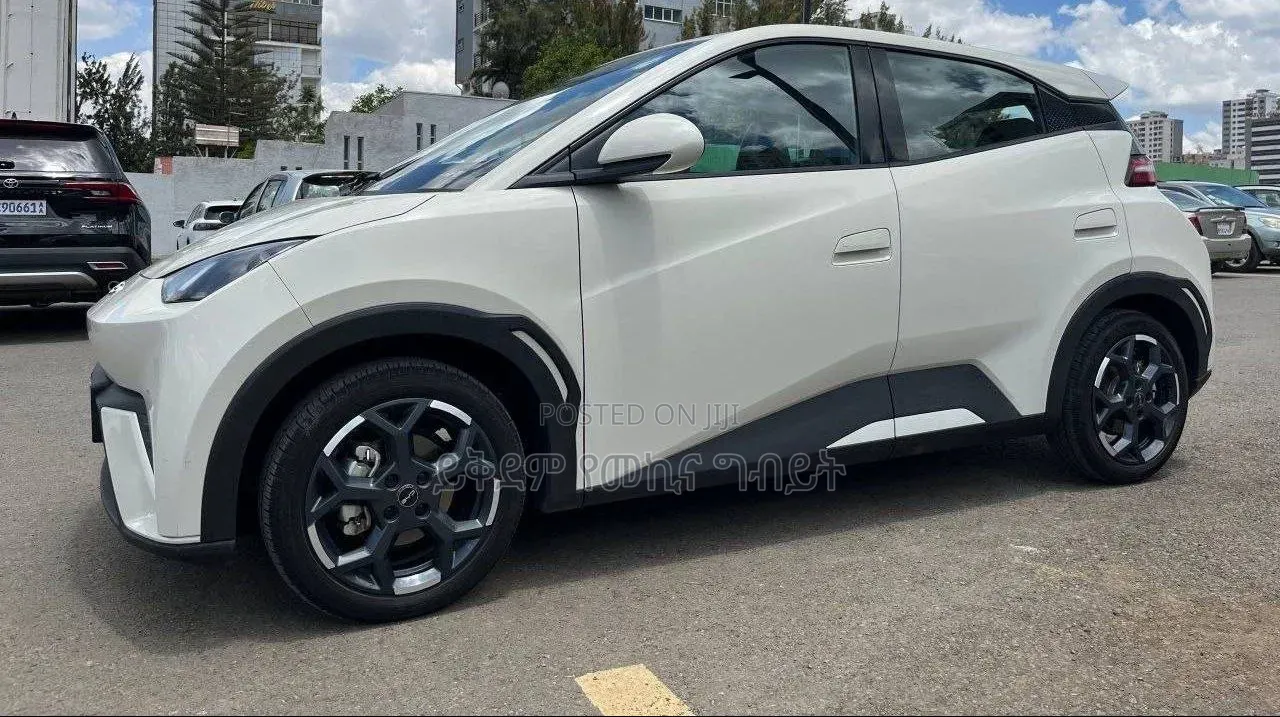 BYD Seagull 2025 White