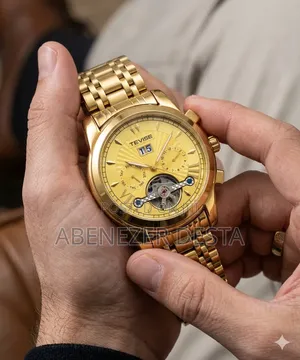 Tevise Luxury Automatic Mechanical Watch for Men,