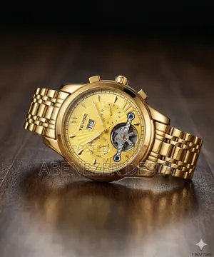 Tevise Luxury Automatic Mechanical Watch for Men,