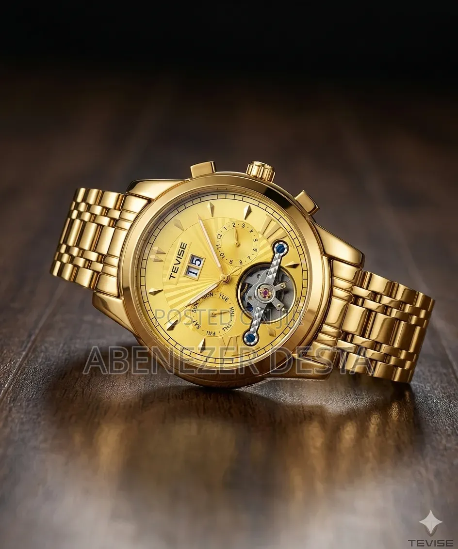Tevise Luxury Automatic Mechanical Watch for Men,