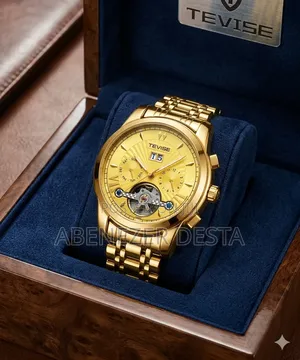 Tevise Luxury Automatic Mechanical Watch for Men,