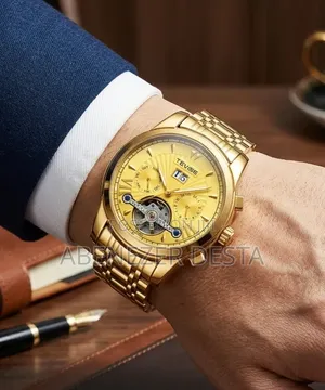 Tevise Luxury Automatic Mechanical Watch for Men,