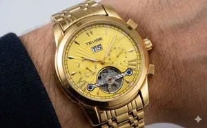 Tevise Luxury Automatic Mechanical Watch for Men,