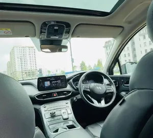 Hyundai Santa Fe 2023 Gray