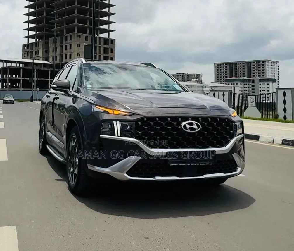 Hyundai Santa Fe 2023 Gray
