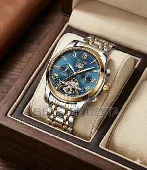 Tevise Stainless Steel Automatic Mechanical Wristwatch,