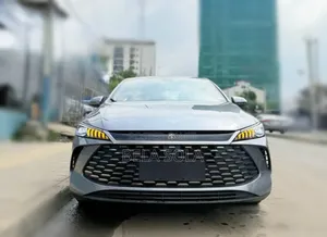 New BYD Qin Plus DM-i 2025 Gray