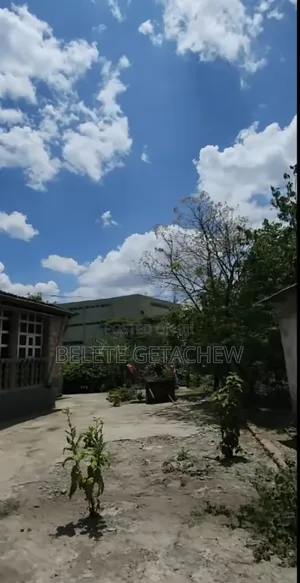 Meskel Flower Lancha, Old Villa House for Sale 2200sqm