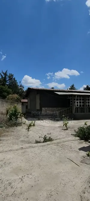 Meskel Flower Lancha, Old Villa House for Sale 2200sqm