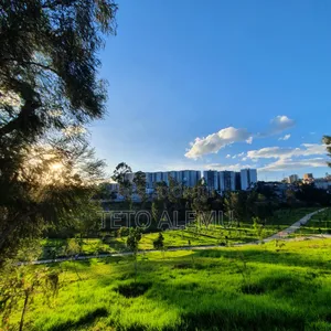 ለገንቢዎች Cmc ሚኒስትሮች ሰፈር – 1000 ካሬ ቦታ ለሽያጭ ዋጋ: 60 ሚሊዮን ብር