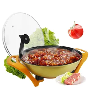 .Electric Cooking Pot