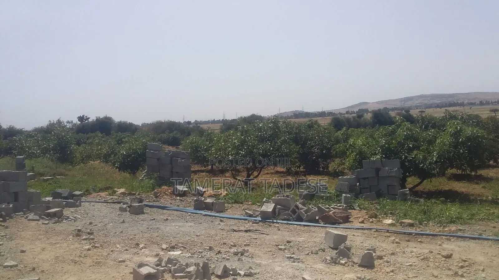 Urba Agriculture