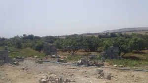 Urba Agriculture