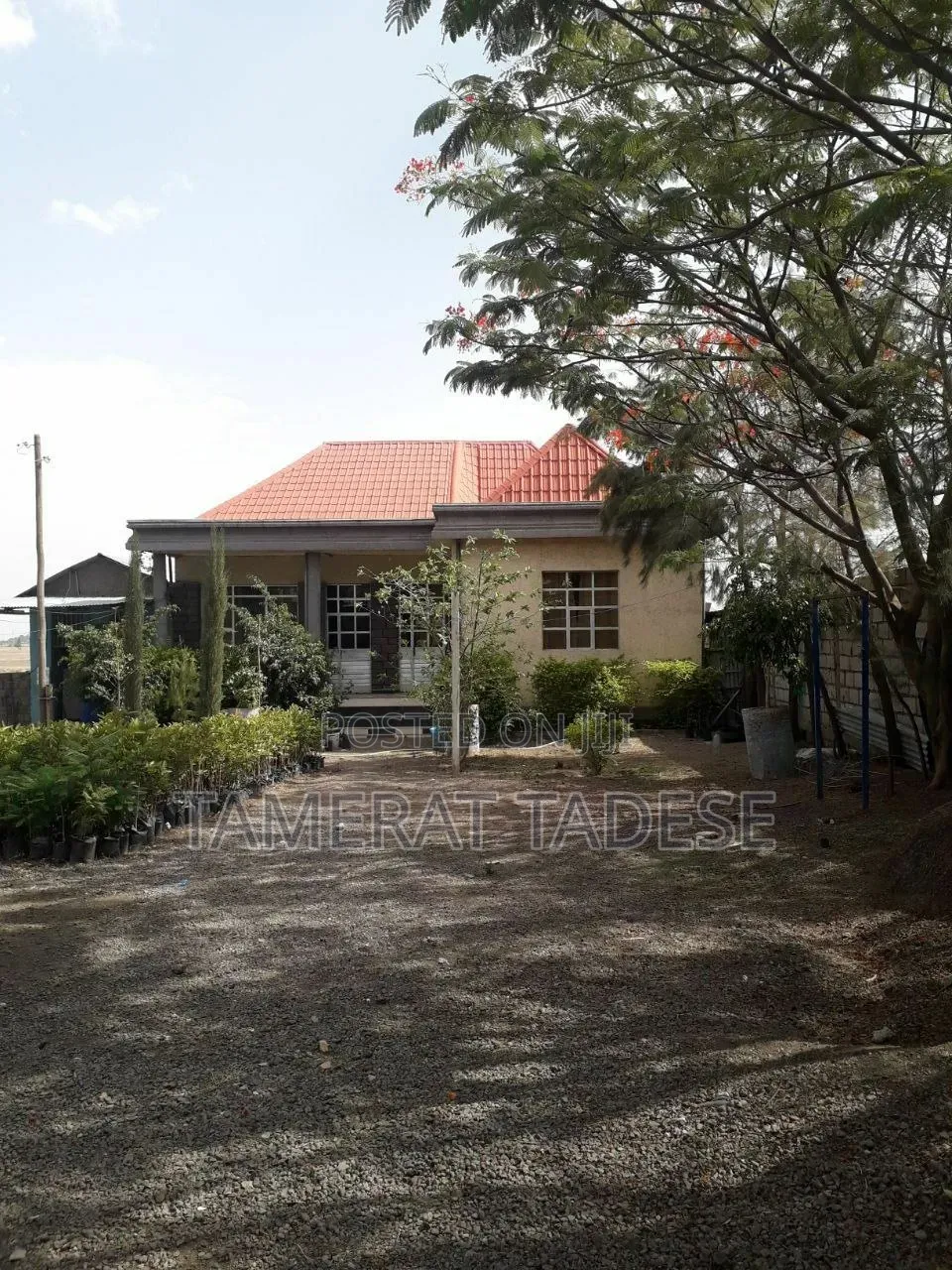 Urba Agriculture