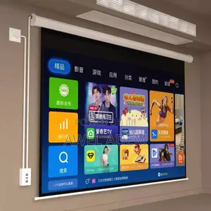 Big Motorized Projector Screen Size 2,40cm X 2,40cm Screen