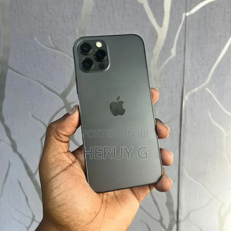 Apple iPhone 12 Pro Max 256 GB Gray
